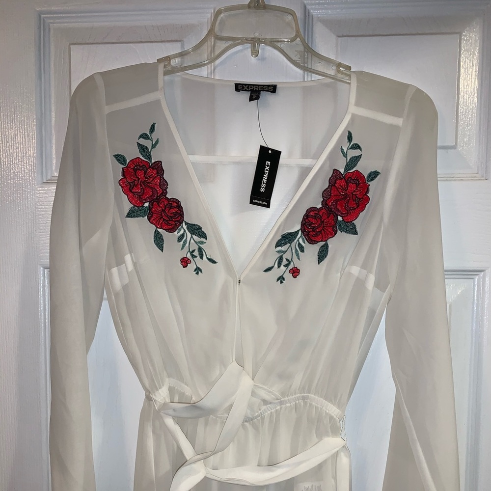 Express Sheer Blouse